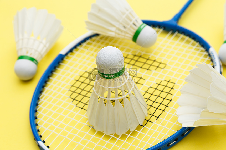 发展与训练 发展与训练